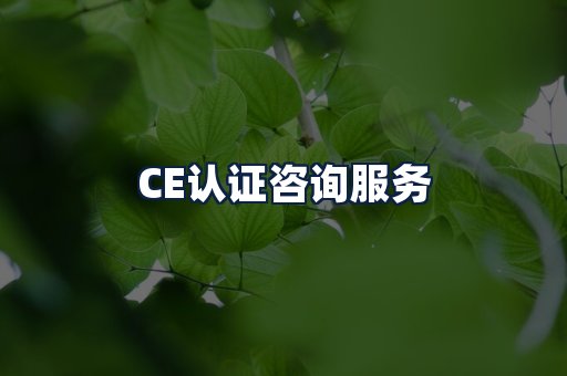 CE认证咨询服务
